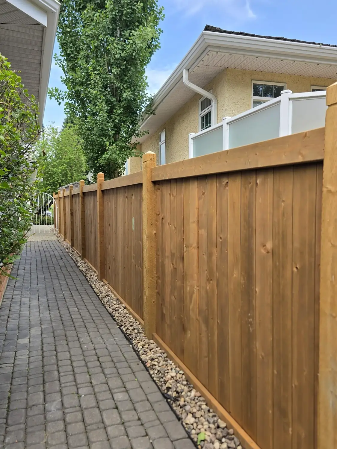 Cedar privacy fence with landscaped garden